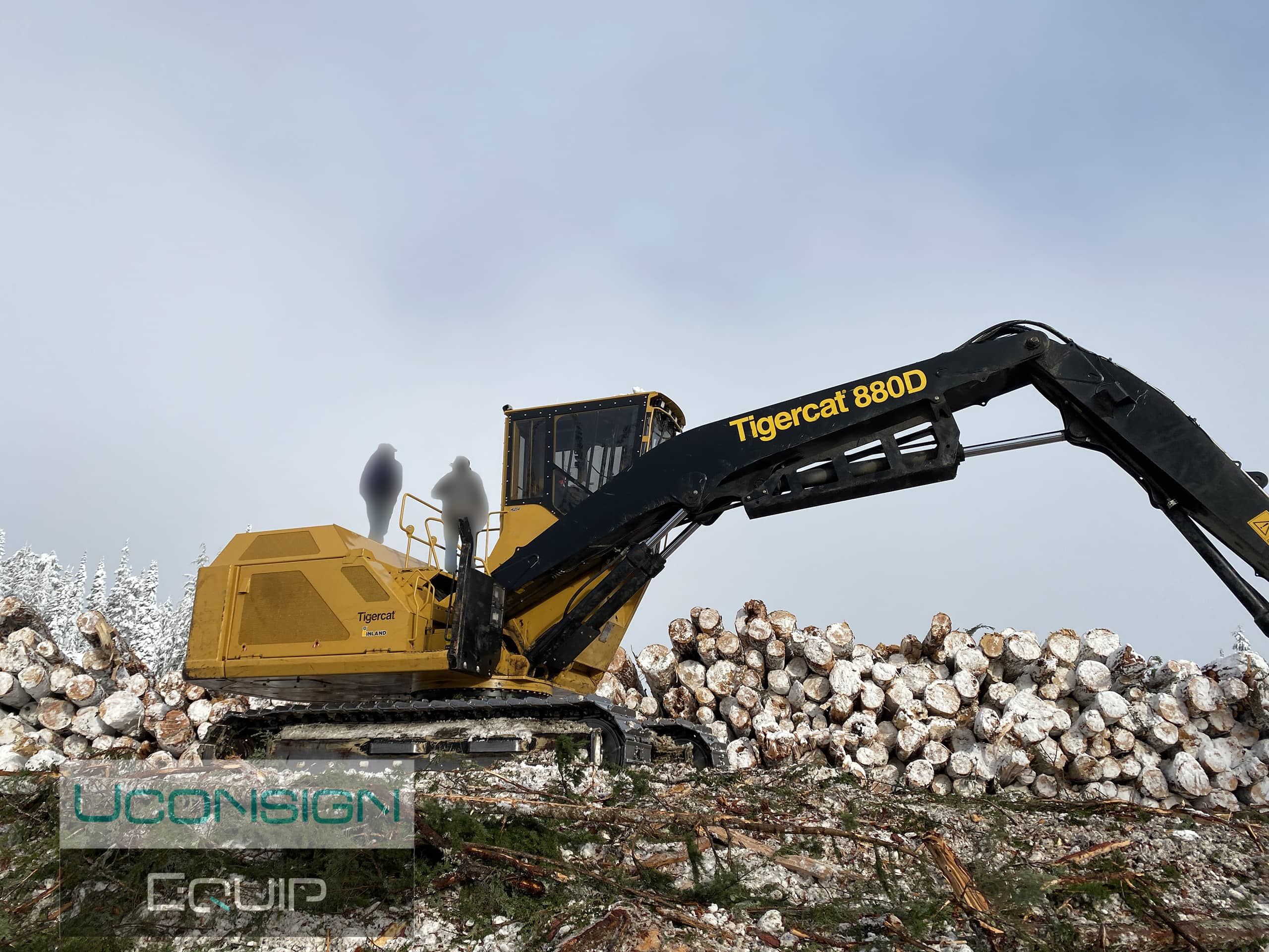 2020 Tiger Cat 880D Forestry (01217)